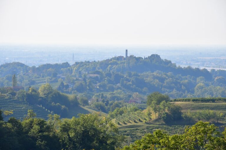 découvrez l'agroécologie, une approche durable et respectueuse de l'environnement pour une agriculture responsable alliant écologie, économie et société.