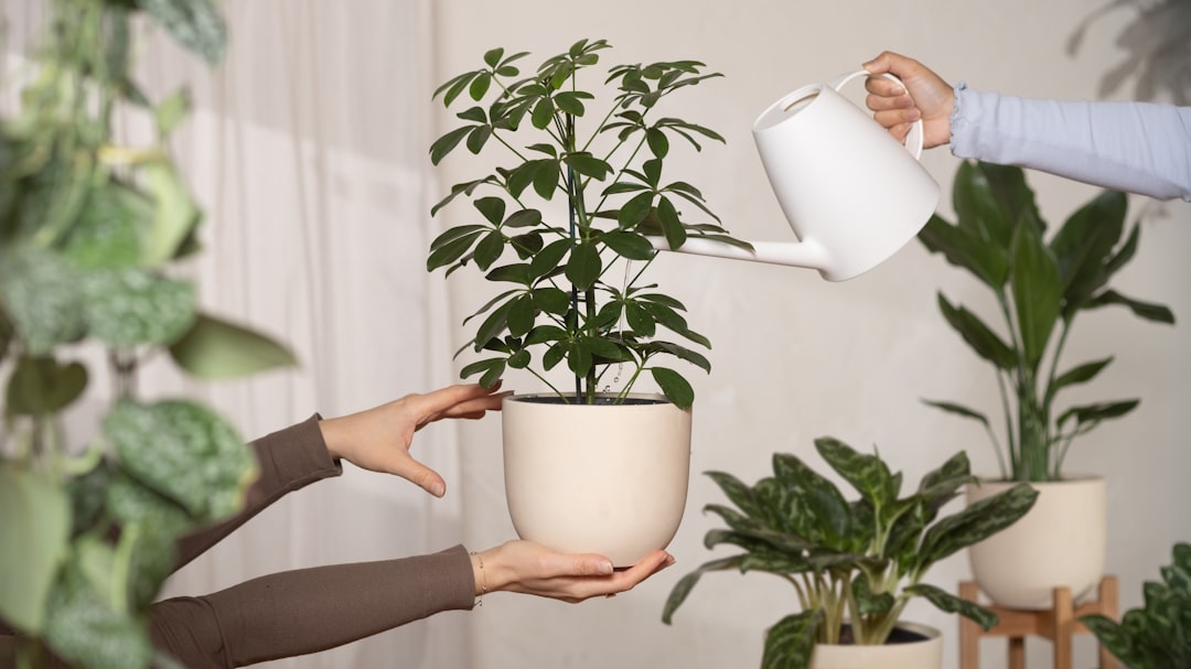 découvrez les plantes dépolluantes qui purifient l'air de votre intérieur naturellement pour un environnement sain et agréable.