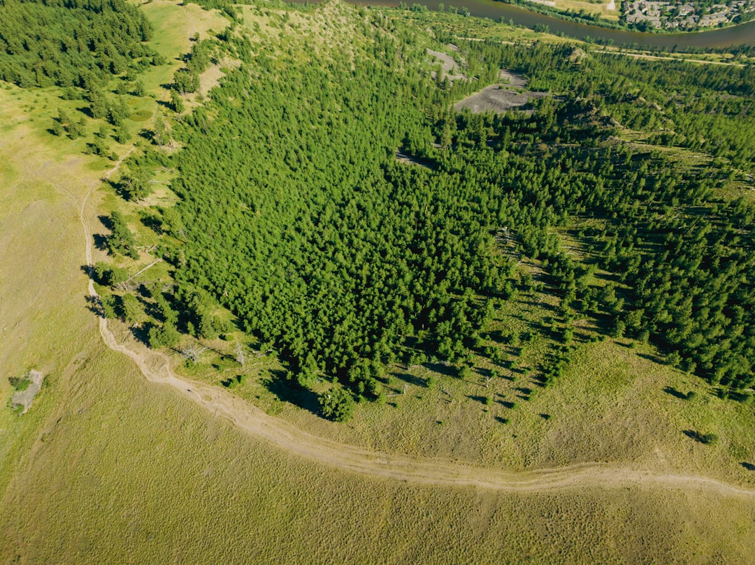 découvrez ce qu'est l'empreinte carbone, son impact environnemental et comment la réduire pour un avenir durable.