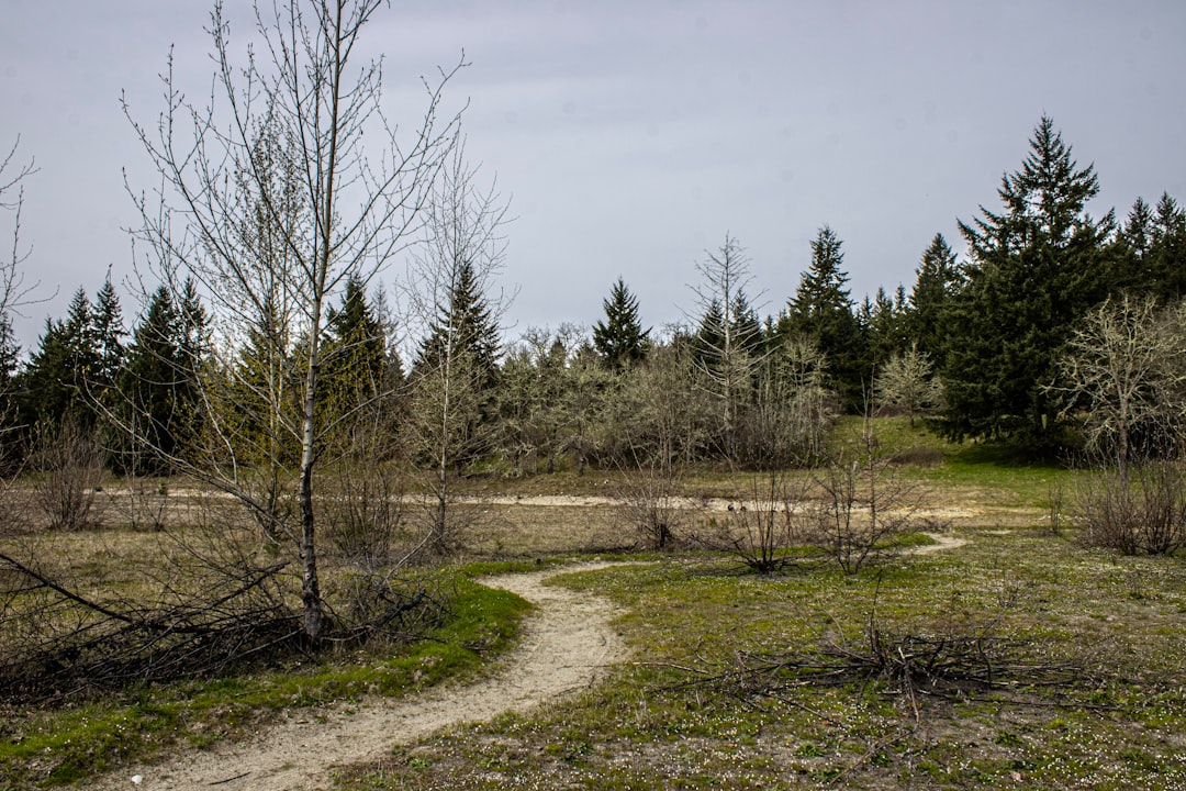 découvrez des propositions écologiques innovantes pour un avenir durable et respectueux de l'environnement.