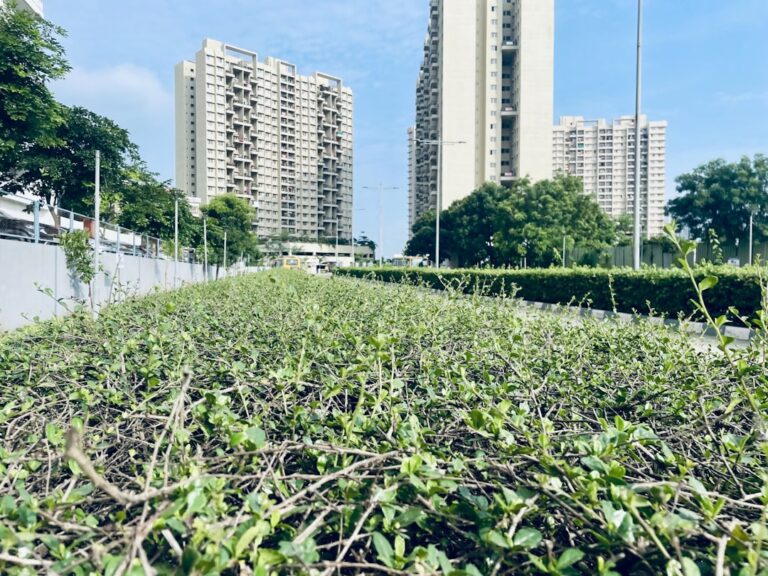 découvrez les solutions d'écorénovation pour transformer votre habitat en un espace durable, économe en énergie et respectueux de l'environnement.