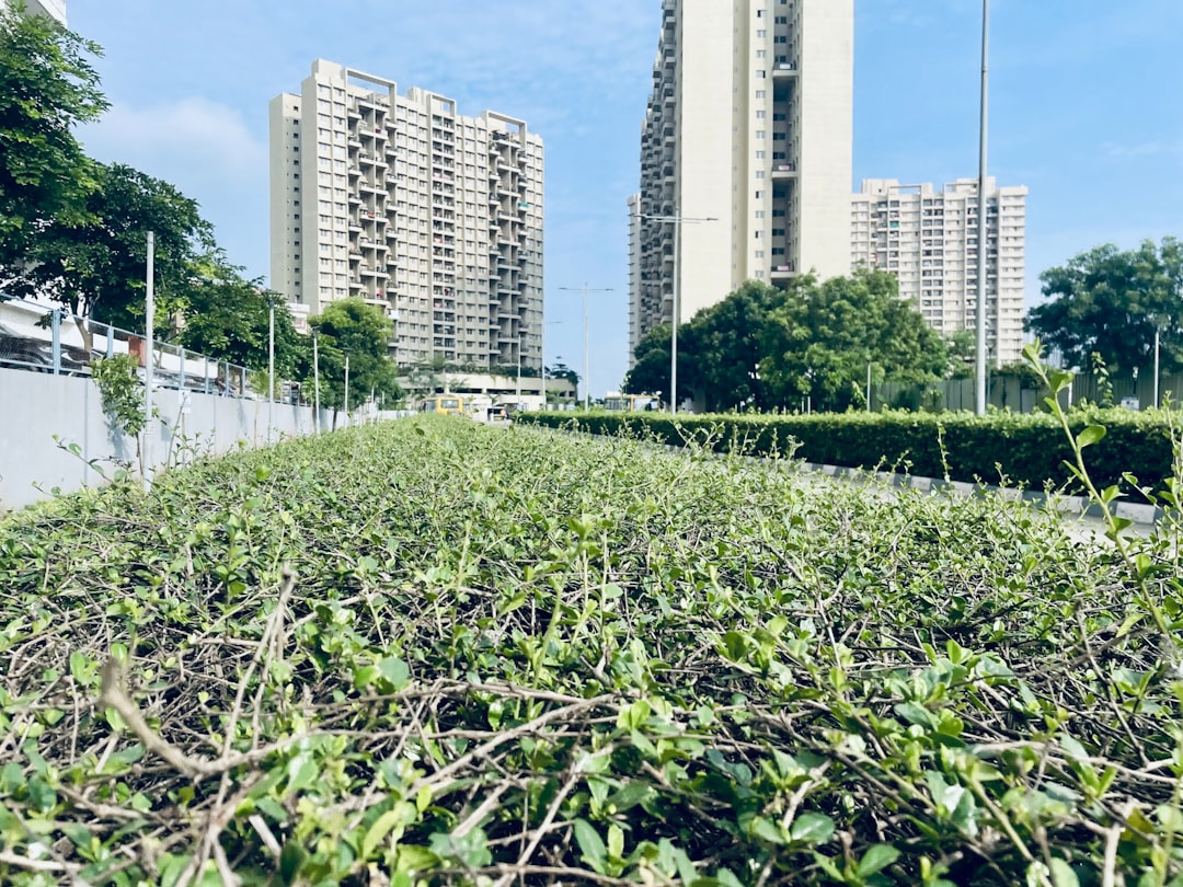 découvrez les solutions d'écorénovation pour transformer votre habitat en un espace durable, économe en énergie et respectueux de l'environnement.