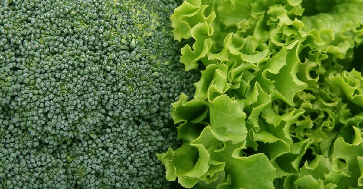 Alimentation durable