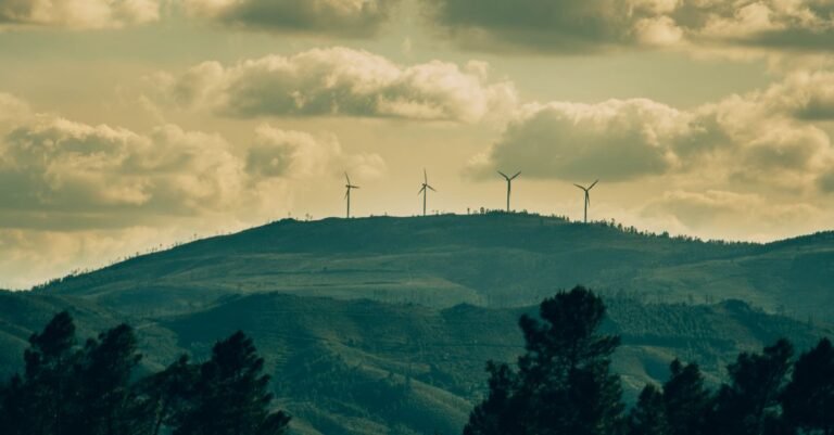 Transition écologique